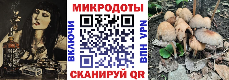 наркотики  Новошахтинск  Галлюциногенные грибы Psilocybine cubensis 